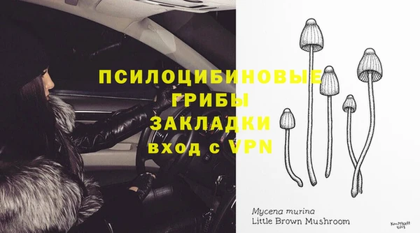 ECSTASY Нефтекумск