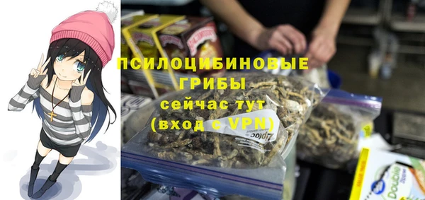 эйфоретик Нея