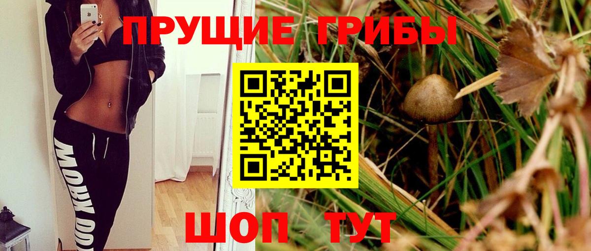 Галлюциногенные грибы ЛСД Павлово